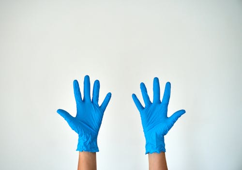 Person Wearing Blue Gloves