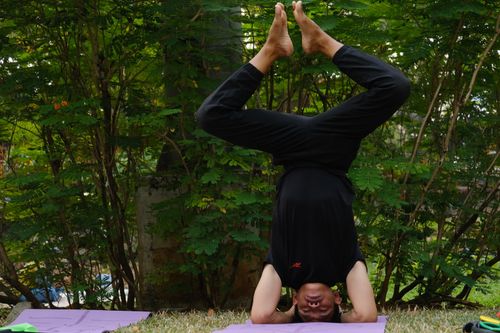 Free Outdoor yoga session in Jakarta showcasing a headstand pose among lush greenery, promoting wellness and balance. Stock Photo