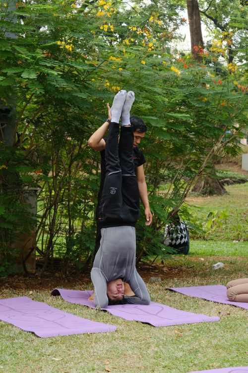 Free Adults practicing yoga headstands in a lush Jakarta park during the day. Stock Photo