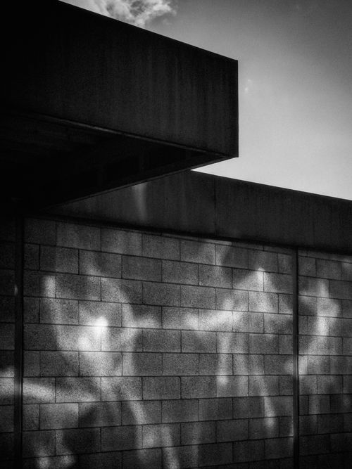 Free Black and white photo of abstract light patterns on a textured concrete wall. Stock Photo
