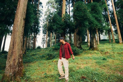 Free A male traveler explores a lush, tranquil forest, capturing the essence of nature and adventure. Stock Photo