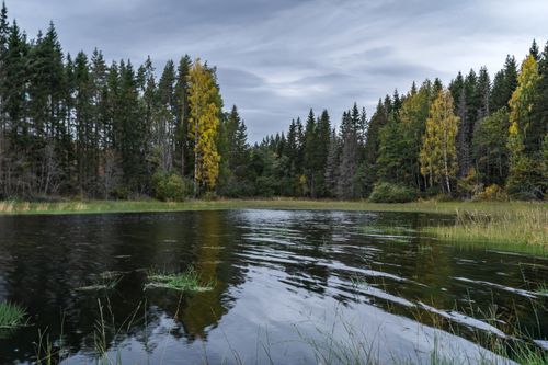 Free Tranquil lake surrounded by colorful autumn trees in Norway, perfect for nature lovers. Stock Photo