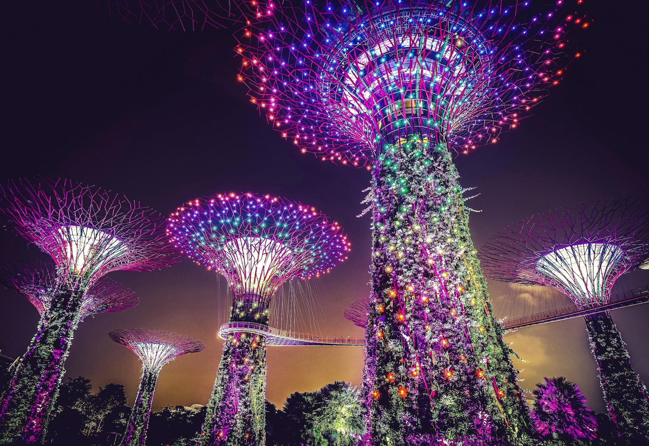 illuminated singapore super trees