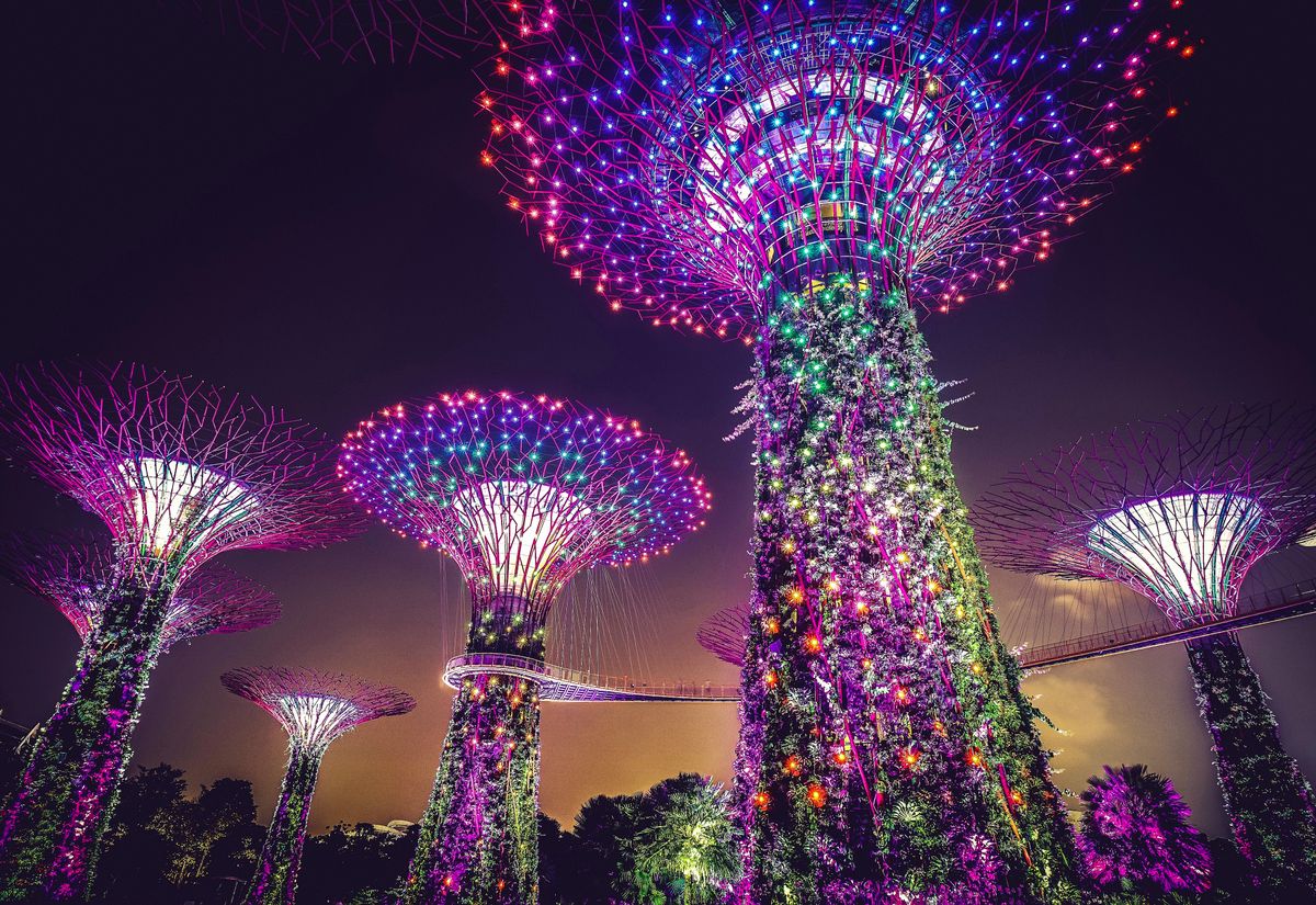 Singapore Couples Escape — photo 3