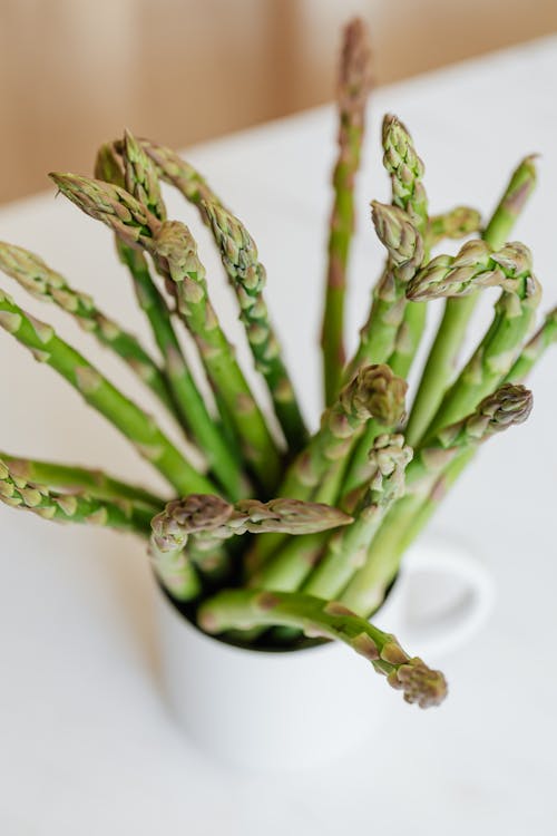 From above of bunch fresh stems asparagus in ceramic white mug on white table