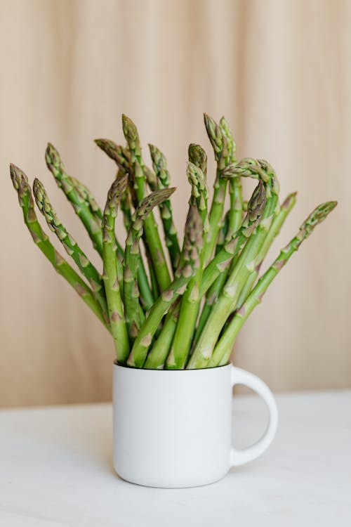 Composition of ceramic cup with ripe green stems of asparagus placed on white table
