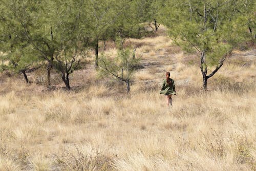 Free stock photo of adventure, dry grass, experience