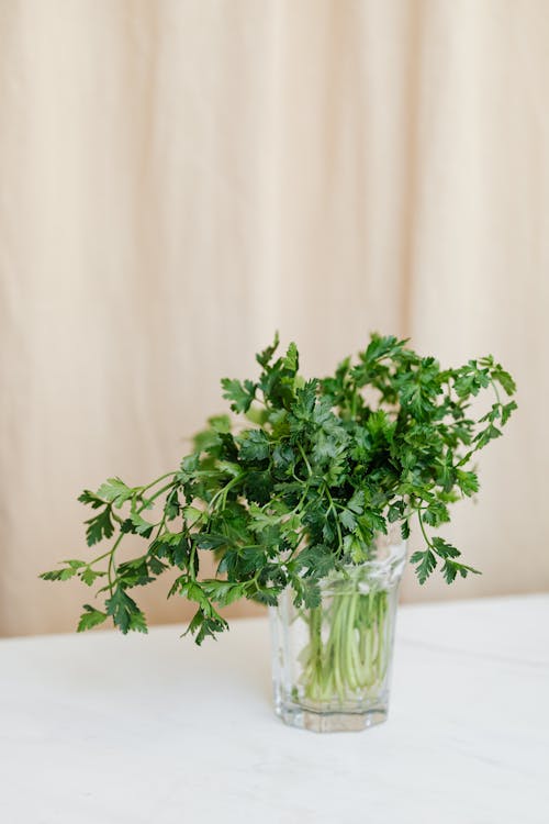 Glass with bunch of parsley on table