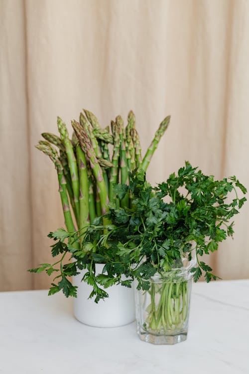 Creative arrangement of natural fresh asparagus in ceramic cup behind clear glass vase with fresh green parsley placed on white table