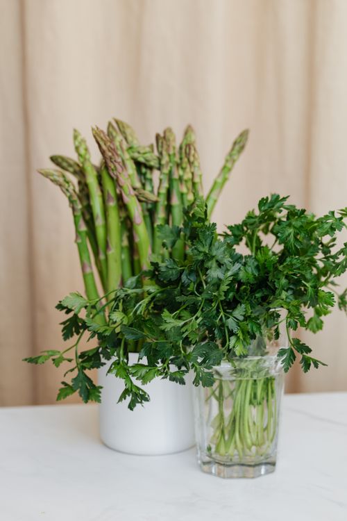 Free Bunch of green fresh parsley in glass vase with water near green stems asparagus in ceramic cup arranged on white table Stock Photo
