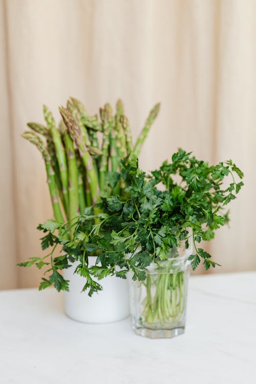 Composition of fresh green parsley in clear glass vase placed before decorative ceramic mug with natural green stems asparagus on white table