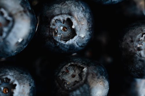 Closeup delicious ripe and fresh blueberry with drops of water on market stall
