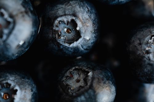 Free Closeup delicious ripe and fresh blueberry with drops of water on market stall Stock Photo