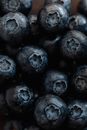Pile of delicious fresh ripe blueberries