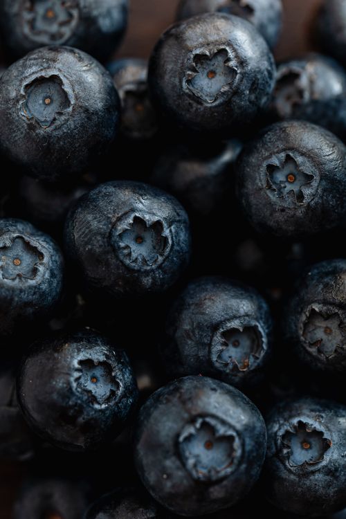 Free Top view of market stall with fresh sweet  and ripe delicious blueberries Stock Photo