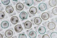 实验室鸟瞰图中，架子上摆放着空试管，用于科学研究