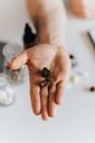 Anonymous person showing sample of herb