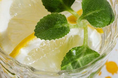 Closeup glass of fresh alcohol drink with pieces of lemon and leaves of mint