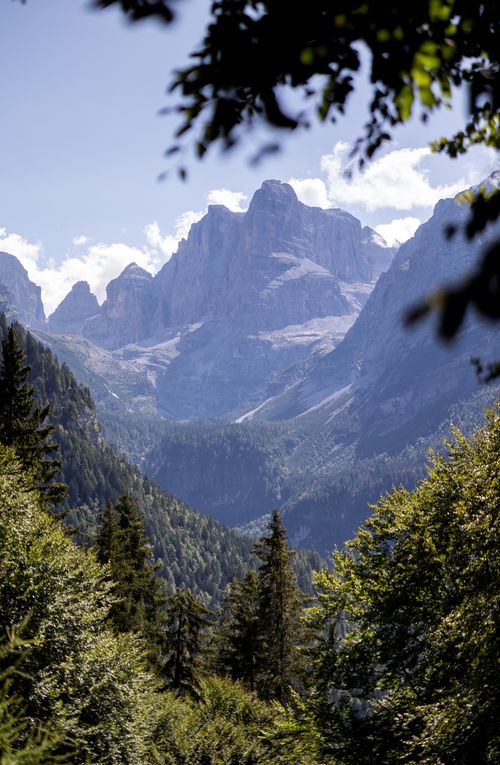 Free Breathtaking landscape of the Dolomites with lush green trees in the foreground under a clear sky. Stock Photo