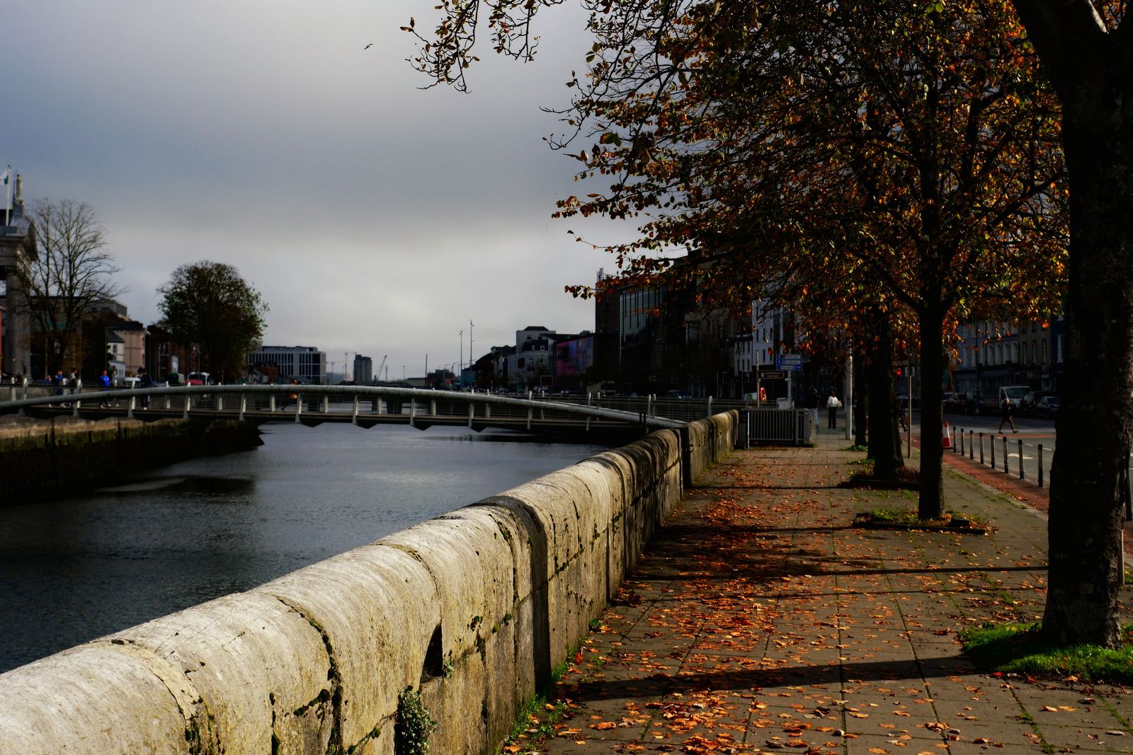 Autumn scenery along River Lee in Cork, Ireland, with leaves and atmosphere