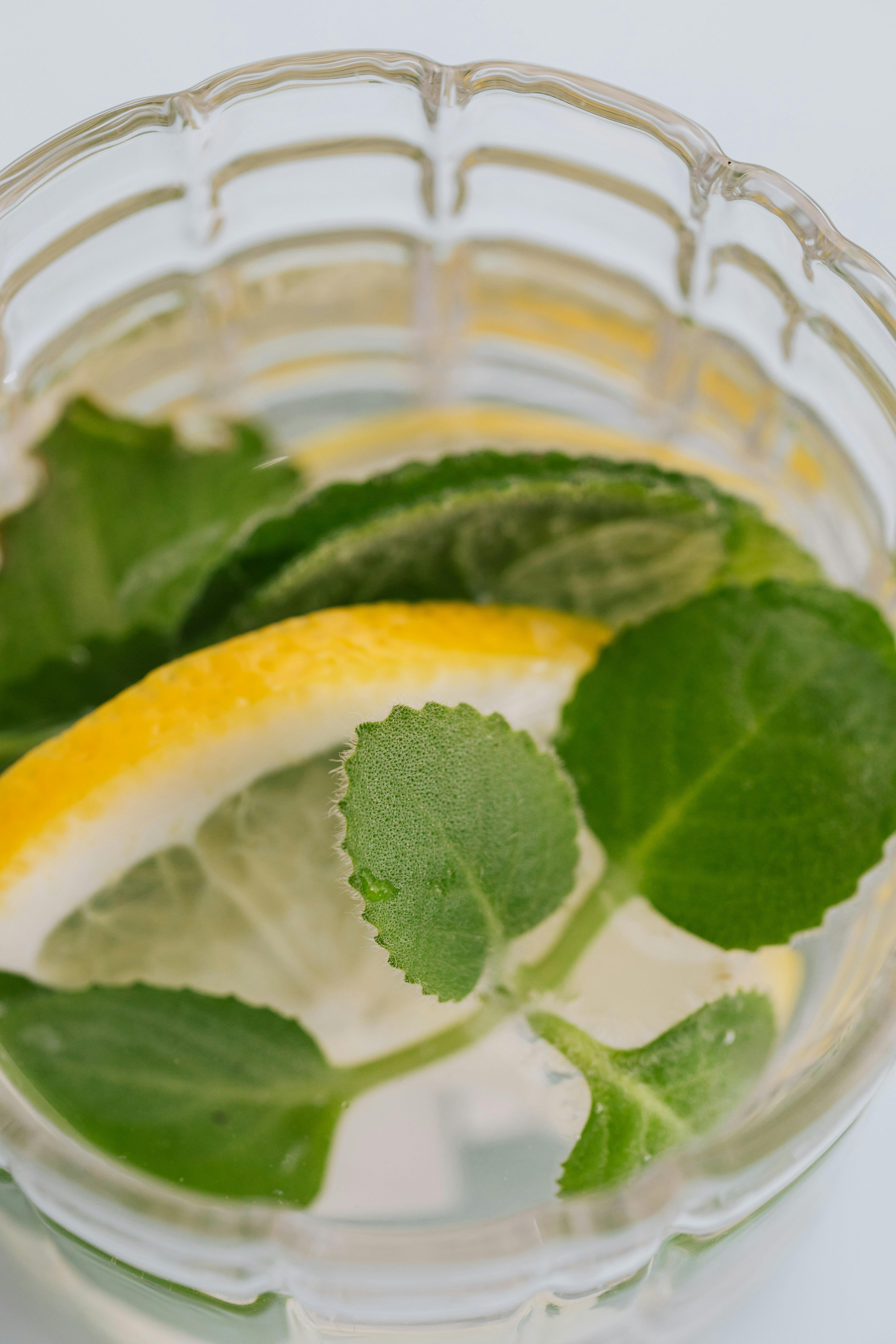 Gin Photos, Download The BEST Free Gin Stock Photos & HD Images