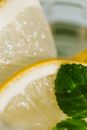 Glass of fresh mojito with mint and lemon