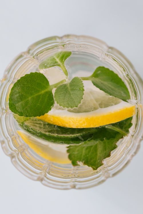 Free Top view of glass of cold cocktail made of lemon slices and mint leaves placed on white background Stock Photo