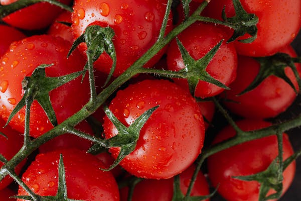 cherry tomato