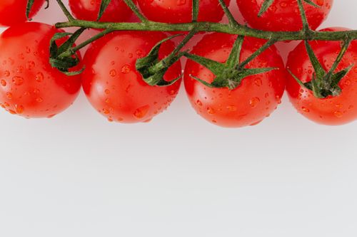 Free Top view of colorful ripe cherry tomatoes on green branch with drops of water placed on white surface at top of frame Stock Photo