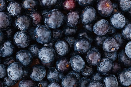 From above of appetizing fresh blueberries different sizes arranged even layer on grocery store stall