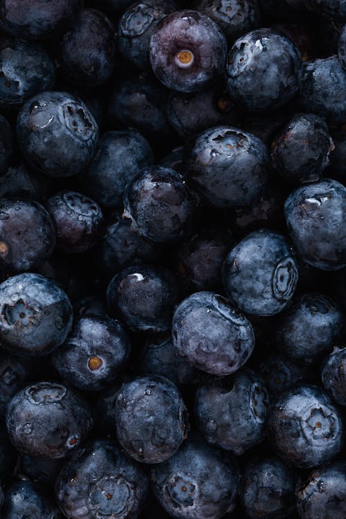 Free Top view of delicious sweet and fresh ripe blueberries placed on even surface Stock Photo