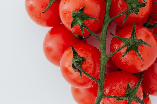 Free Top view of branch of red ripe tomatoes with water drops placed on pile of tomatoes on white background Stock Photo