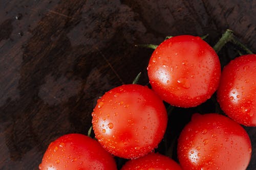 Free Branch of tomatoes with drops Stock Photo