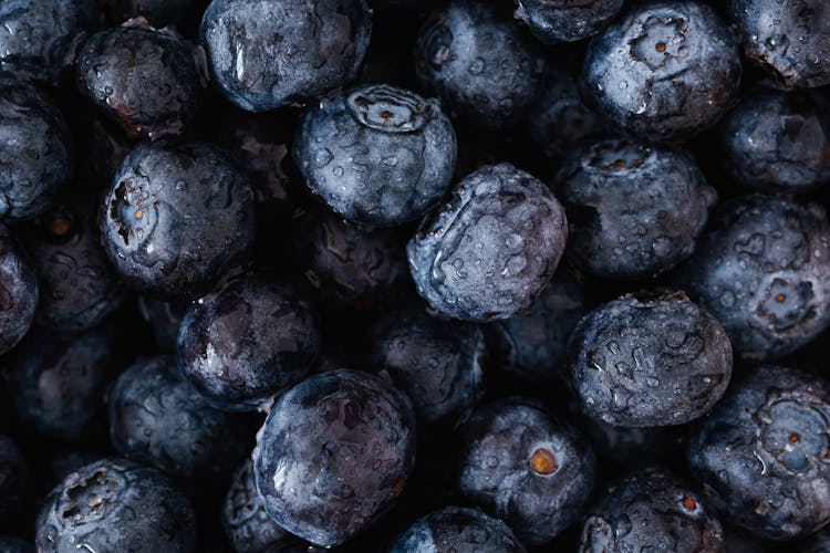 Background Of Wet Ripe Blueberries