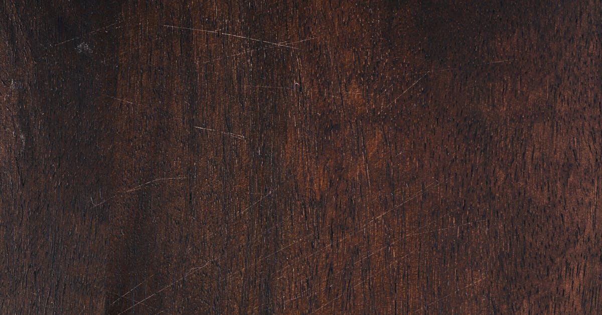 How to cut dark dog nails