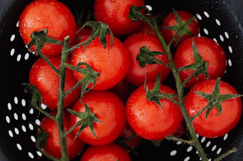 Top view of ripe red tomatoes with drops on branches placed in strainer
