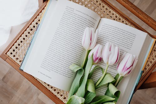 Composition of fresh romantic flowers on open book arranged on vintage wicker table at home