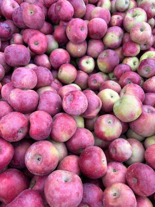 Free A vibrant stack of freshly picked red apples, showcasing perfect harvest season produce. Stock Photo