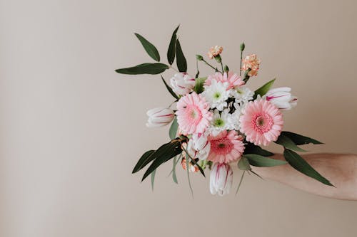 Free Crop anonymous florist demonstrating fresh aromatic flowers in hands holding chamomiles cloves and gerberas near beige background Stock Photo