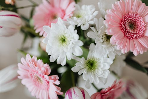 Composition of blooming delicate and fresh flowers