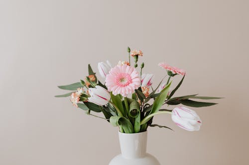 Light bouquet of fresh tulips with green leaves arranged with pink Gerberas and yellow red carnations in white ceramic vase