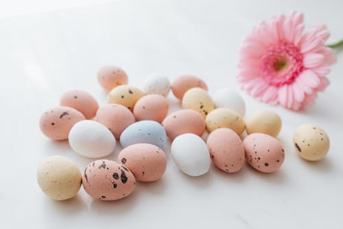 Free Easter Eggs and Pink Flower Stock Photo