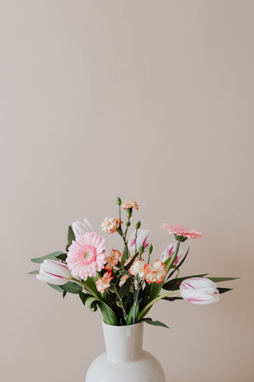 Free Composition of white ceramic vase with delicate carnations and white tulips with elegant pink Gerberas and green leaves Stock Photo