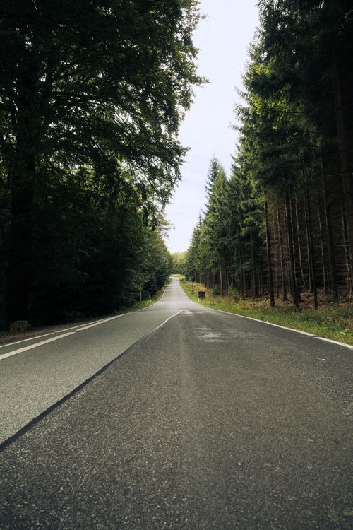 Free A serene road cutting through the dense Zittauer Gebirge forest in Germany. Stock Photo