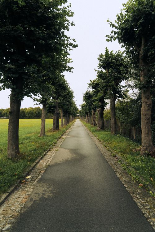 Free Scenic view of a tree-lined avenue in Herrnhut, Germany, showcasing natural beauty. Stock Photo