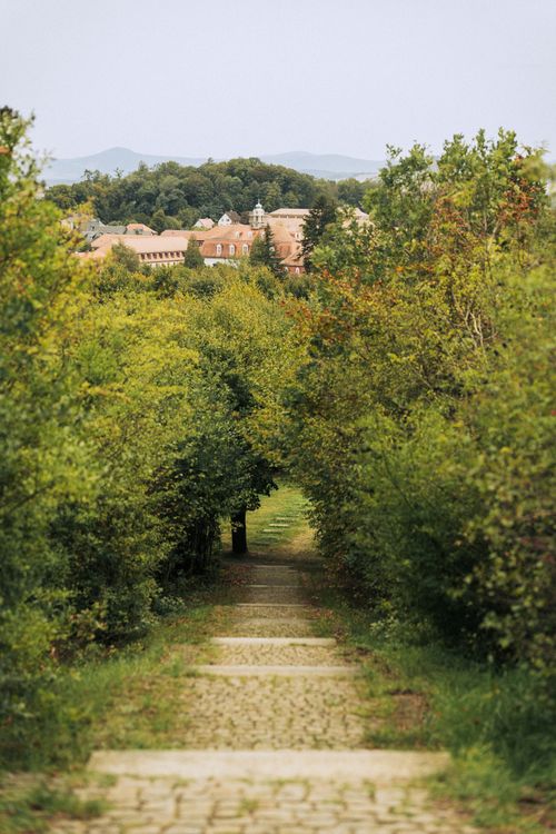 Free Tranquil path through lush greenery leading to historic Herrnhut in Saxony. Stock Photo