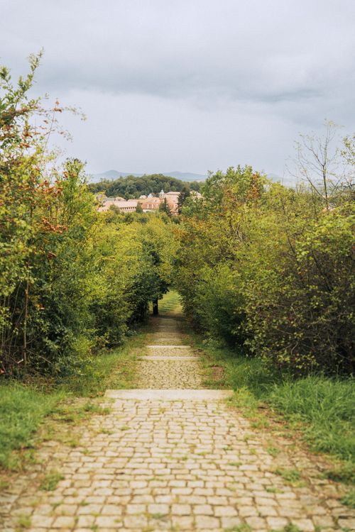 Free A tranquil cobblestone path leading through lush greenery in Herrnhut, Germany. Stock Photo