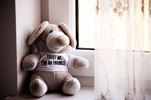 Adorable elephant plush toy by a window wearing a funny engineer-themed shirt.