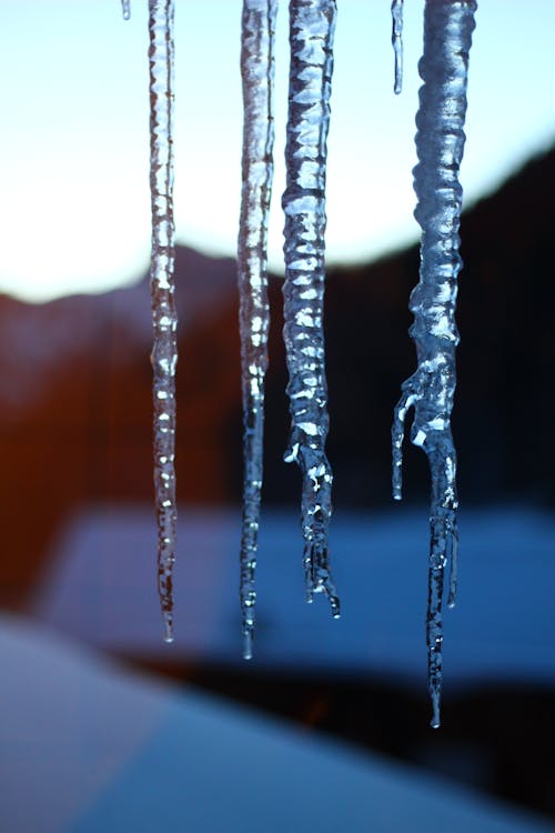 buz, buz saçağı, doğa içeren Ücretsiz stok fotoğraf