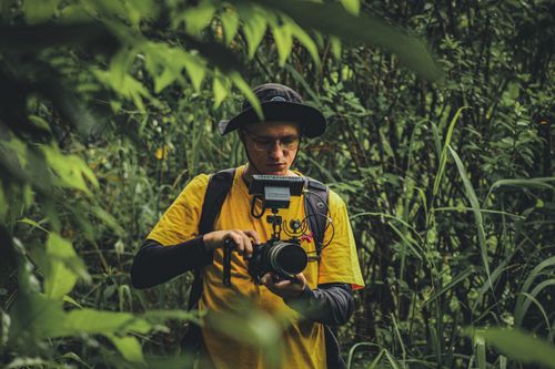 Free A dedicated photographer captures nature's beauty in a lush jungle setting. Stock Photo